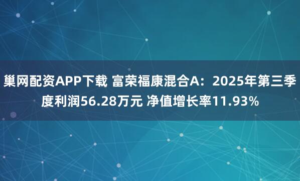 巢网配资APP下载 富荣福康混合A：2025年第三季度利润56.28万元 净值增长率11.93%